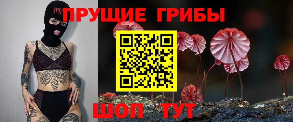 Серпухов  Псилоцибиновые грибы ЛСД  Вход с VPN 