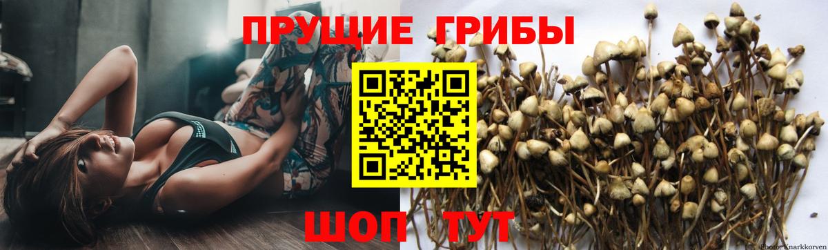 Галлюциногенные грибы ЛСД Серпухов